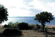Lake Rental House on Lake Buchanan