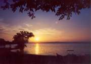 Driftwood Shores Resort - Cabins For Rent