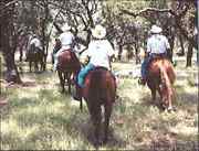 Post Oak Farm and Guest Ranch