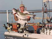 Striper Quest Fishng Guide Service - Aaron Thompson